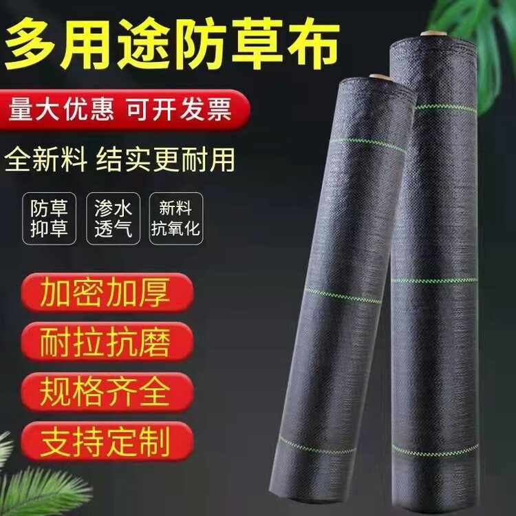 新闻资讯 第354页
