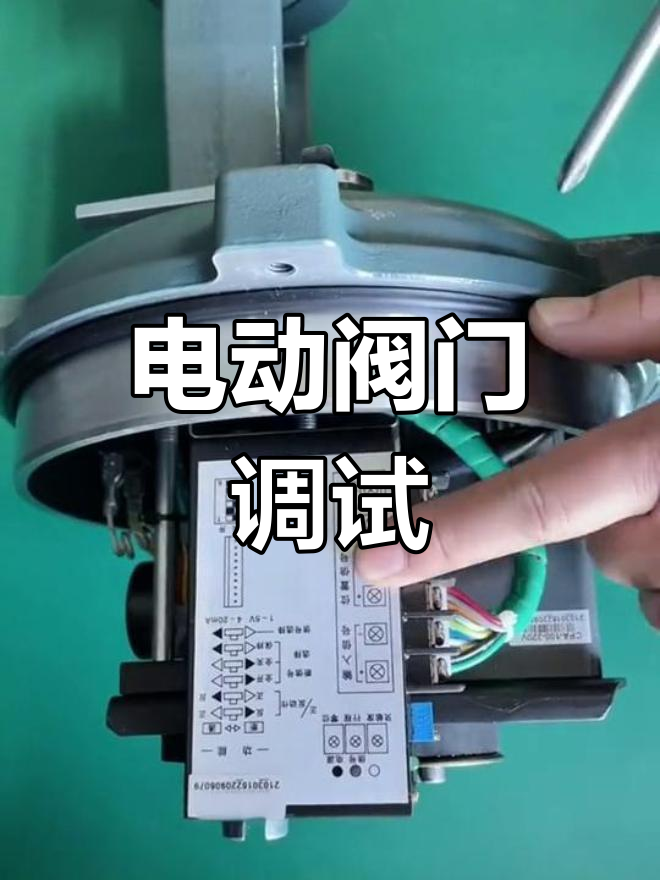 荣誉资质 第312页