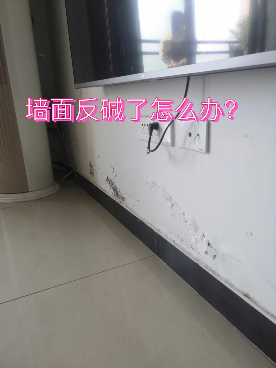 2025年7月 第1249页