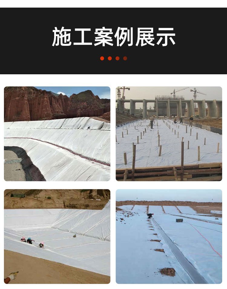 复合土工膜一布一膜那一层朝上2025近期排名前十名分析
