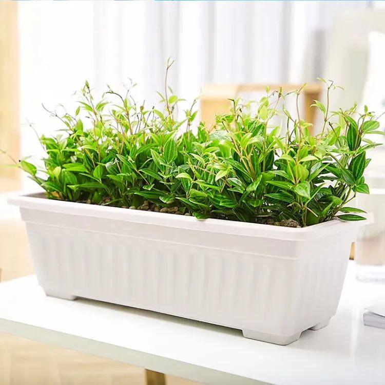 塑料花盆的尺寸和价格是多少2025近期排名前十名分析