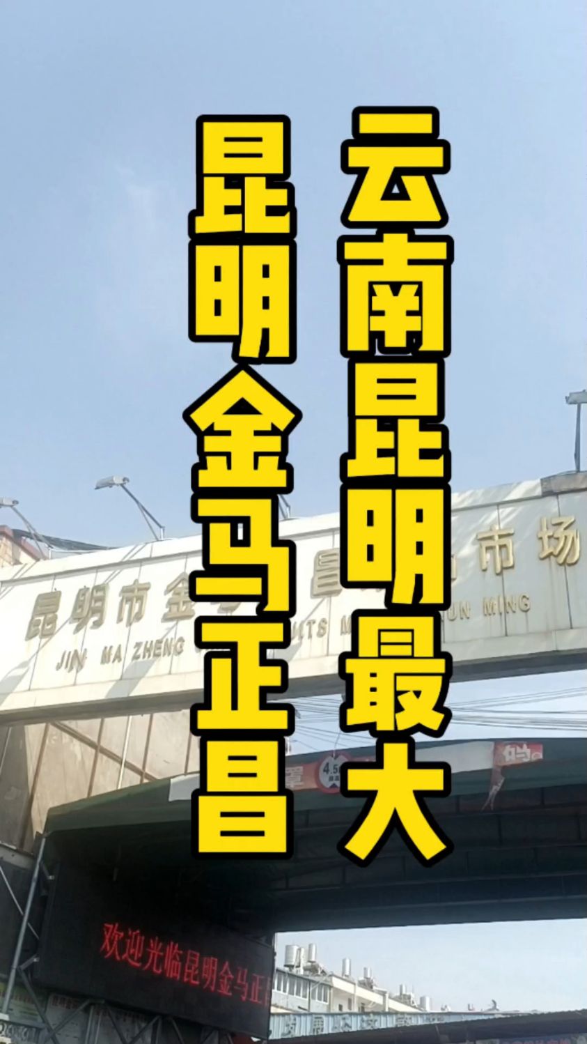 昆明最大的门业批发市场