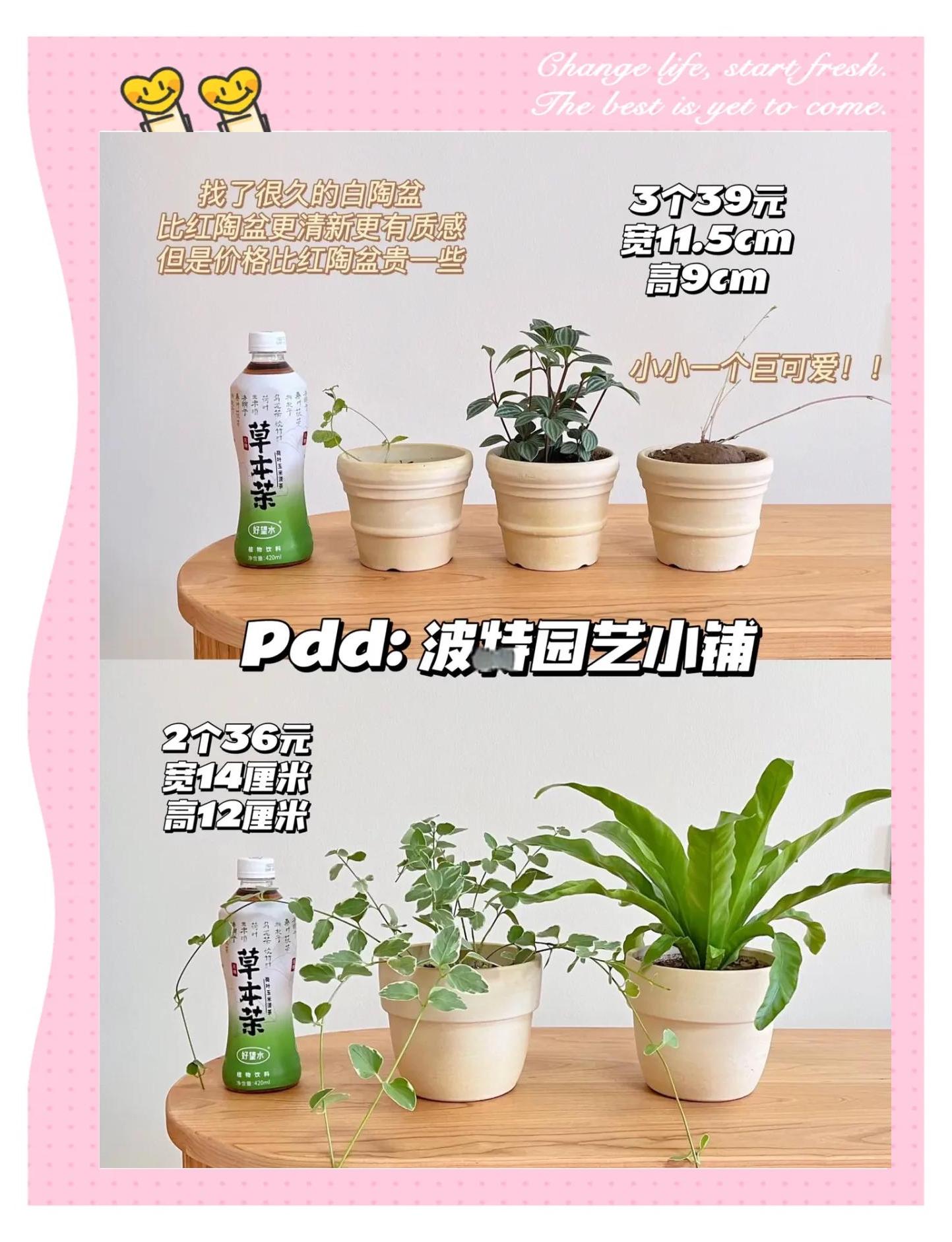 买花盆去哪个网站便宜好用