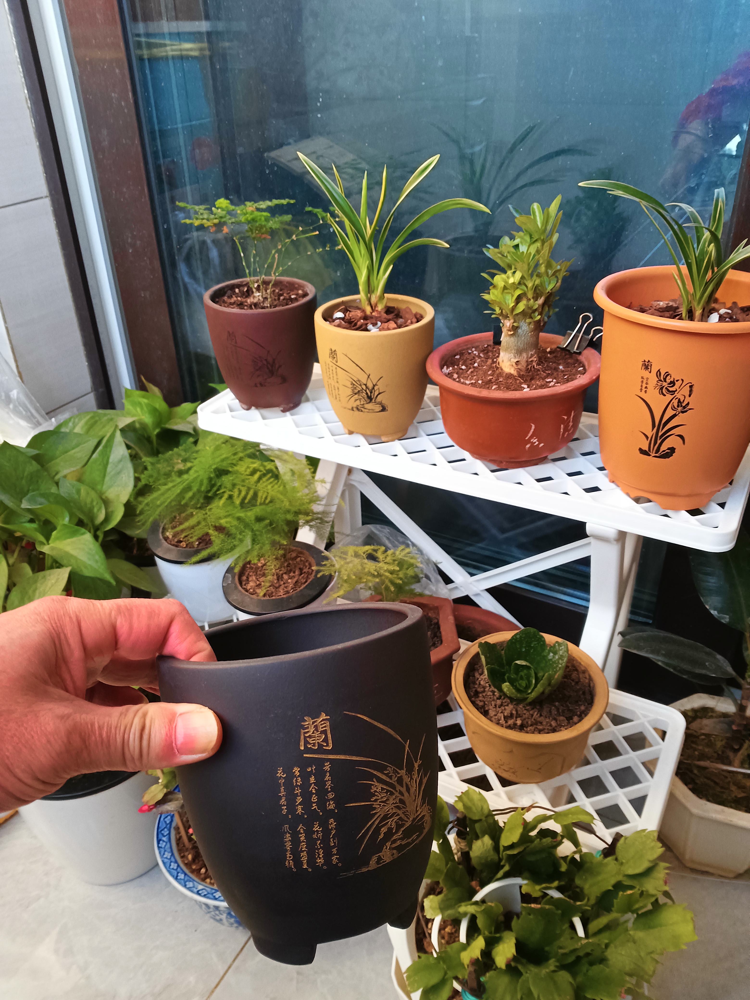 花盆买什么材质的好看又实用