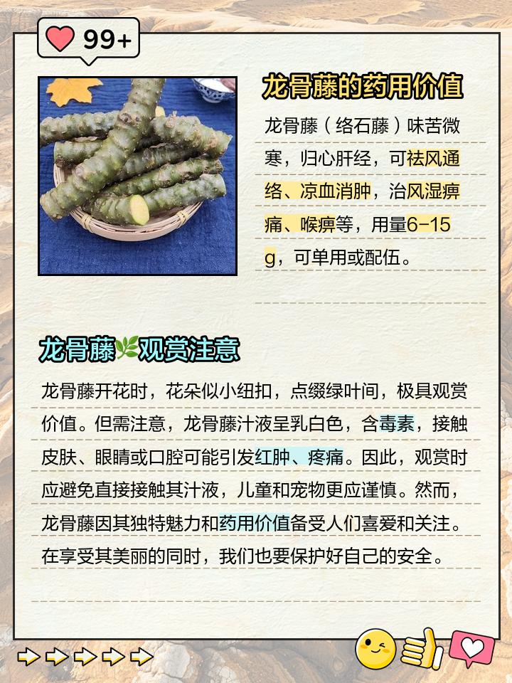 龙骨有毒对人危害吗能吃吗